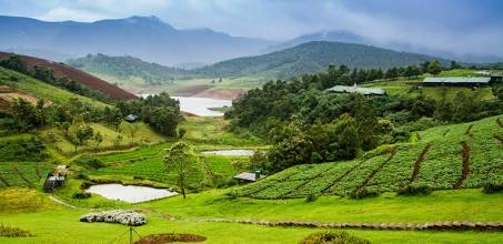 Ooty Tour